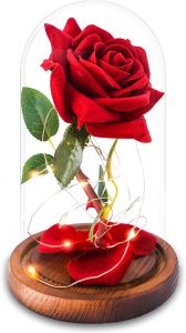 Review: AGGUT Beauty and the Beast Rose