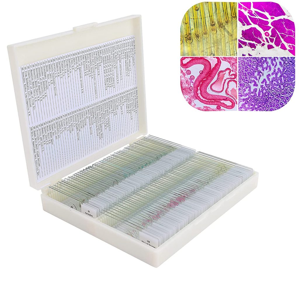 Review: USCAMEL Prepared Microscope Slides (100 pieces)