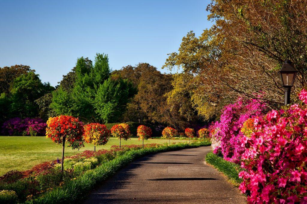 Outdoor scene