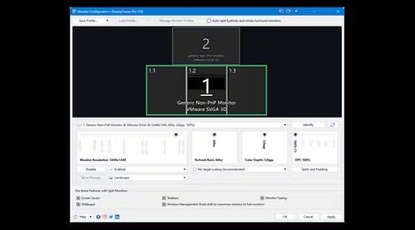 Display Pro Standard screenshot