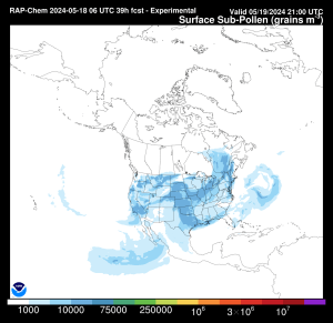 Surface Fine Pollen forecast for May 19 2024 from NOAA Global Systems Laboratory