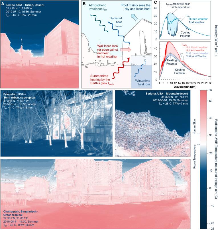 The seasonal thermal environment observed by vertical building facades